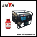 BISON (CHINA) Grupo de Gerador de Gás Natural Standby Big Power Stand